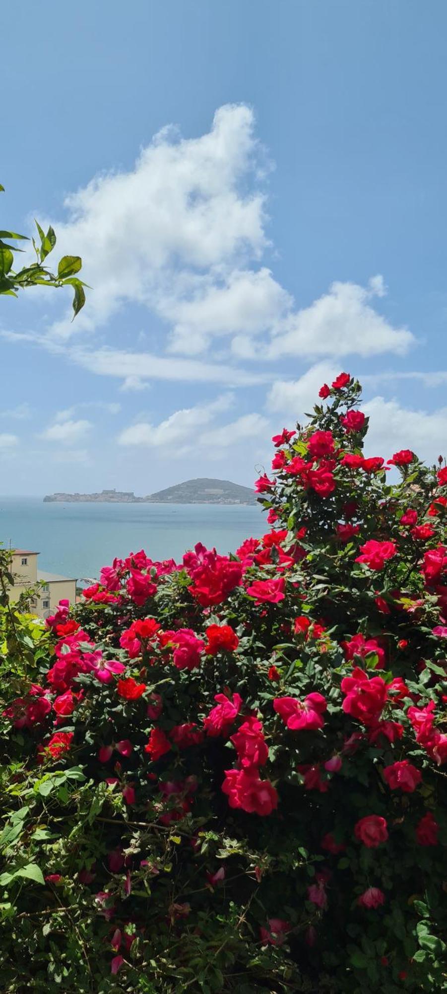 Villa Olga B&B 포르미아 외부 사진