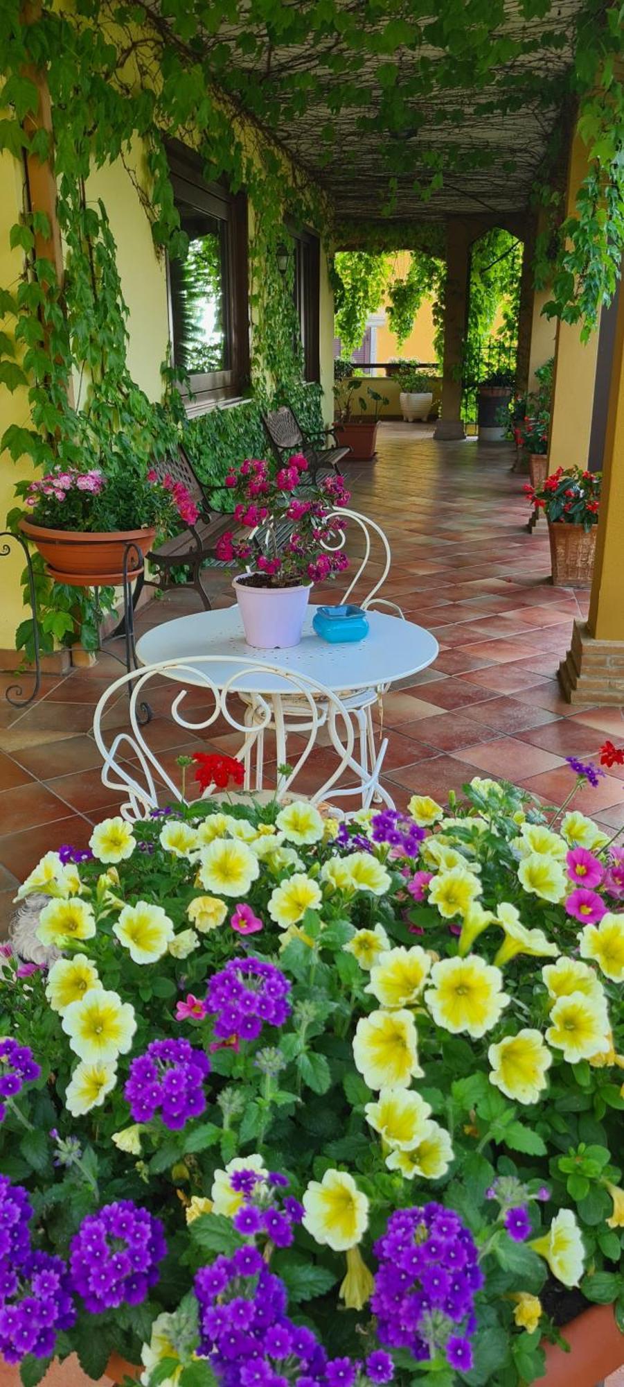 Villa Olga B&B 포르미아 외부 사진