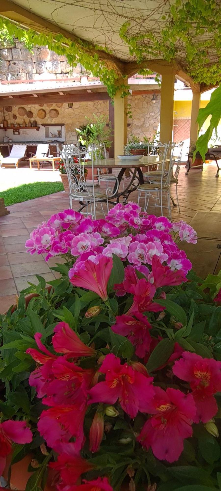 Villa Olga B&B 포르미아 외부 사진