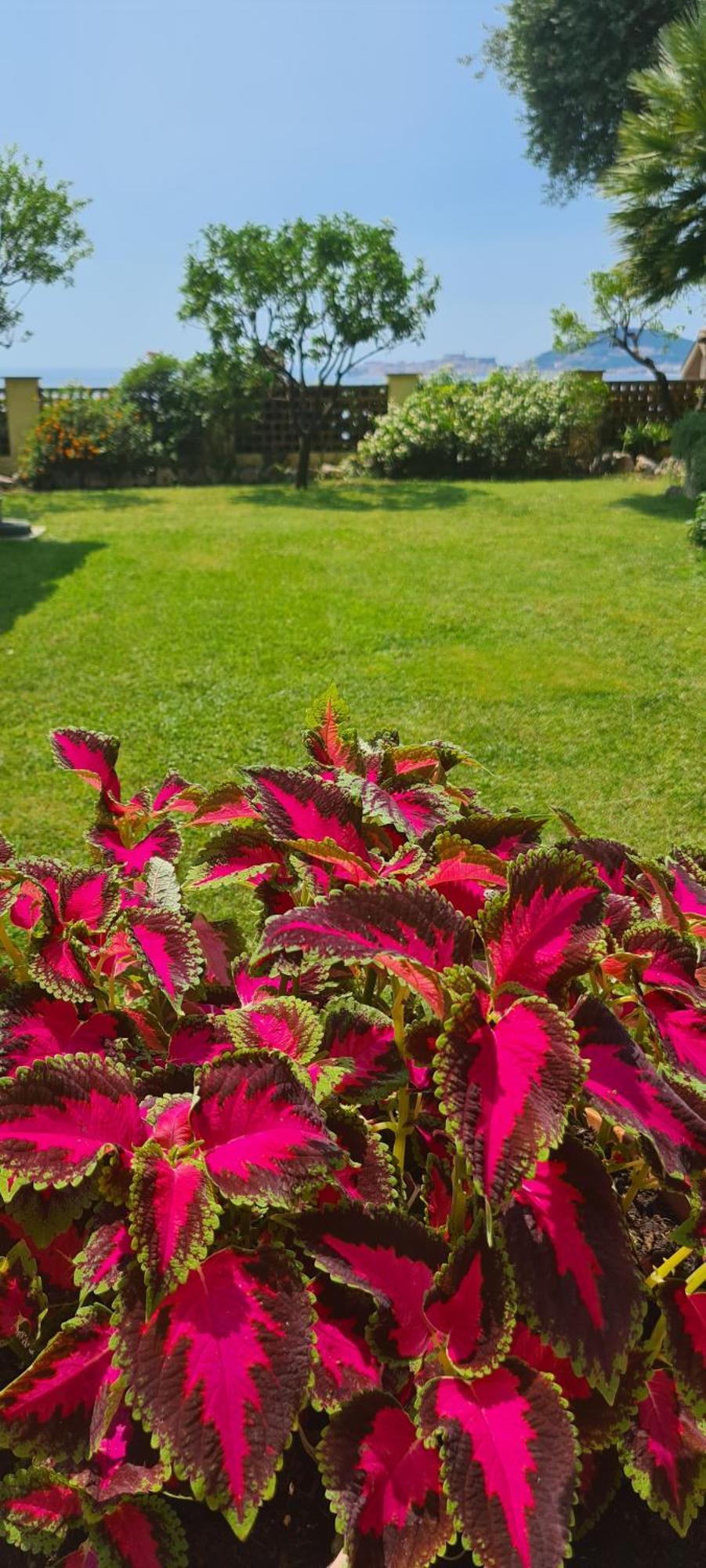 Villa Olga B&B 포르미아 외부 사진